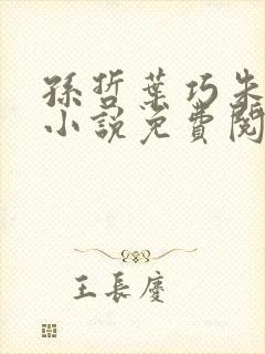 孙哲叶巧朱颜的小说免费阅读