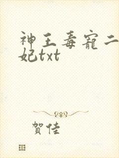 神王毒宠二嫁王妃txt封面