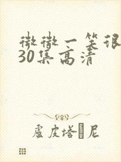 微微一笑很倾城30集高清