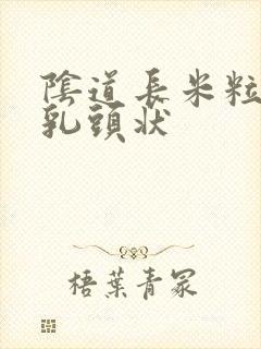 阴道长米粒大小乳头状