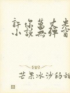 许你万丈光芒好小说无弹窗免费全文阅读