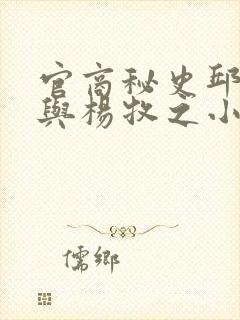 官商秘史邱玉汝与杨牧之小说封面