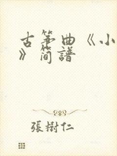 古筝曲《小星星》简谱