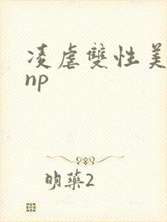 凌虐双性美人受np