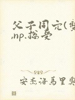 父子同穴(双性,np.总受