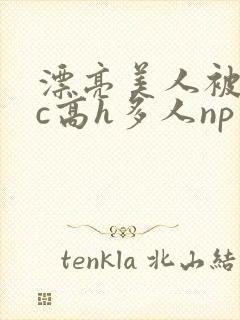 漂亮美人被迫挨c高h多人np小说