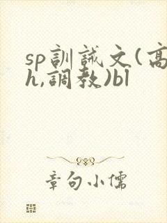 sp训诫文(高h,调教)bl
