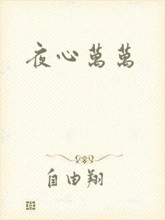 夜心万万封面
