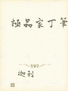 极品家丁笔趣阁封面
