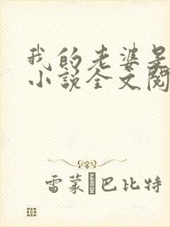 我的老婆是苏玥小说全文阅读