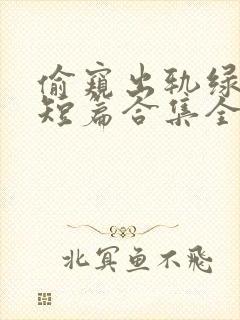 偷窥出轨绿帽癖短篇合集全文