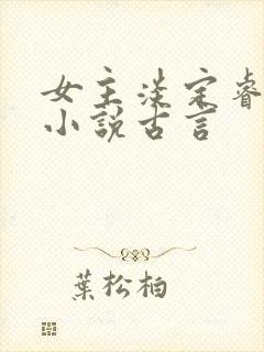 女主淡定睿智的小说古言