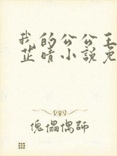 我的公公王大海芷晴小说免费阅读