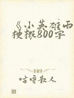 《小英雄雨来》梗概800字封面