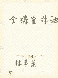 金磷岂非池中物封面