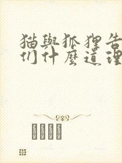 猫与狐狸告诉我们什么道理