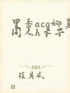 里番acg娜美同人h本子封面
