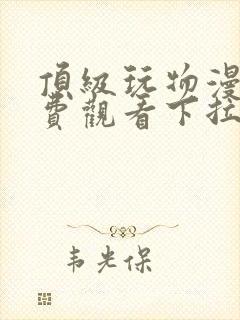 顶级玩物漫画免费观看下拉式六封面