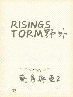 RISINGSTORM野外