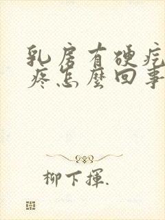 乳房有硬疙瘩不疼怎么回事