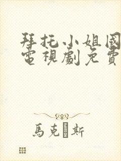 拜托小姐国语版电视剧免费观看