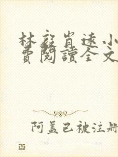 林毅肖远小说免费阅读全文最新章节封面