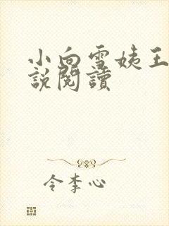 小向雪姨王浩小说阅读