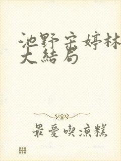 池野宋婷林月瑶大结局封面