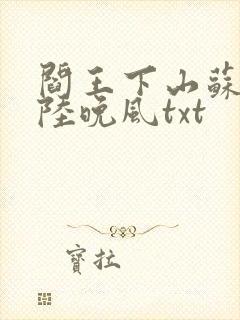 阎王下山苏文,陆晚风txt