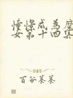 憧憬成为魔法少女第十四集