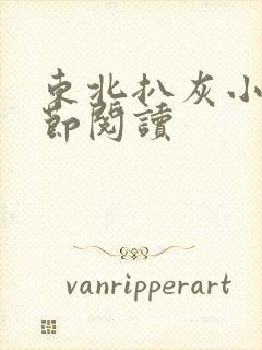 东北扒灰小说分节阅读