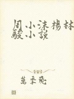 周小沫杨林赖成骏小说