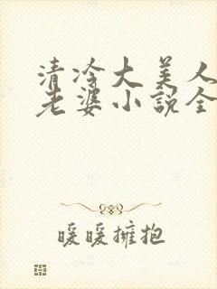 清冷大美人是我老婆小说全文阅读