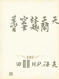 叶空林夭夭无弹窗笔趣阁封面