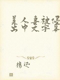美人妻被侵犯中出中文字幕封面