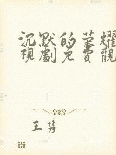 沉默的荣耀 电视剧免费观看全集封面