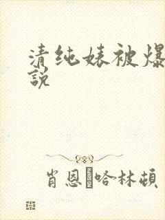 清纯婊被爆操小说封面