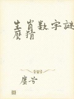 生肖数字谜语怎么猜封面