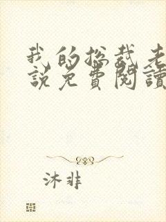 我的总裁老婆小说免费阅读