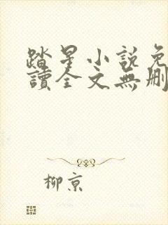 踏星小说免费阅读全文无删减