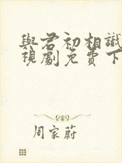 与君初相识 电视剧免费下载