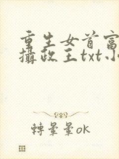 重生女首富娇养摄政王txt小说