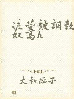 流萤被调教成肉奴高h封面