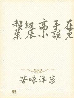 超级高手在都市叶辰小说免费阅读