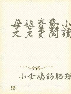 母姐齐飞小说全文免费阅读最新更新