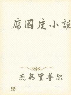 腐国度小说