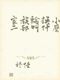 家族轮换小说第二部叫什么名字