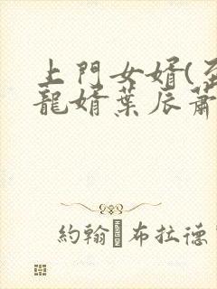 上门女婿(至尊龙婿叶辰萧初然)封面