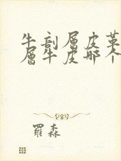 牛剖层皮革和头层牛皮哪个好