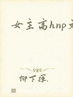 女主高hnp文